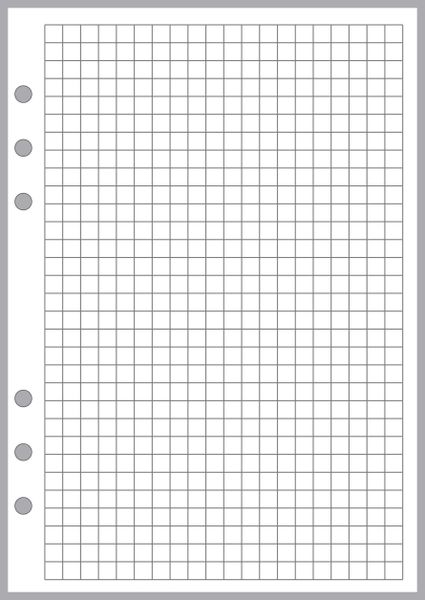 A5 Graph / Grid Paper (0.25)