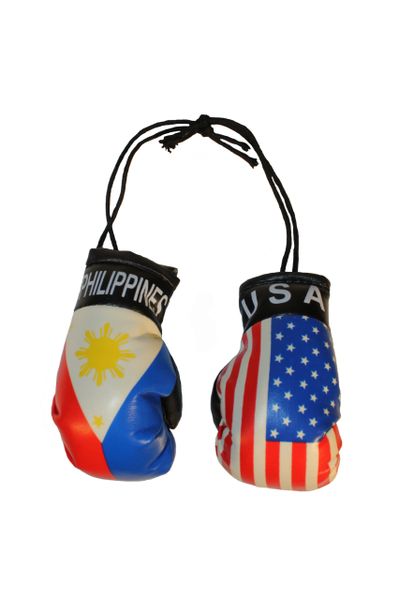USA & PHILIPPINES Country Flags Mini BOXING GLOVES