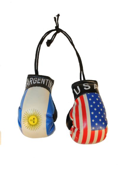 USA & ARGENTINA Country Flags Mini BOXING GLOVES