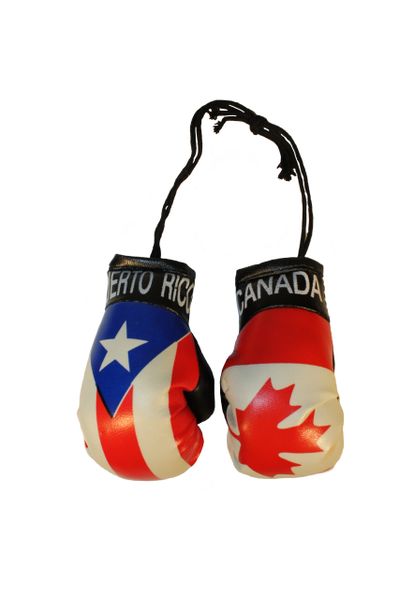 CANADA & PUERTO RICO Country Flags Mini BOXING GLOVES