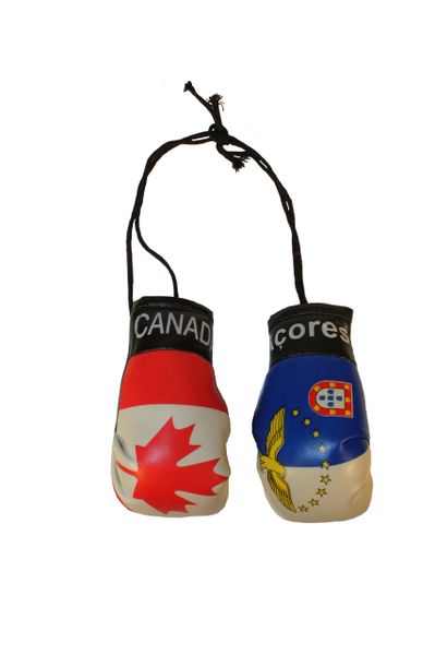 CANADA & ACORES AZORES Country Flags Mini BOXING GLOVES
