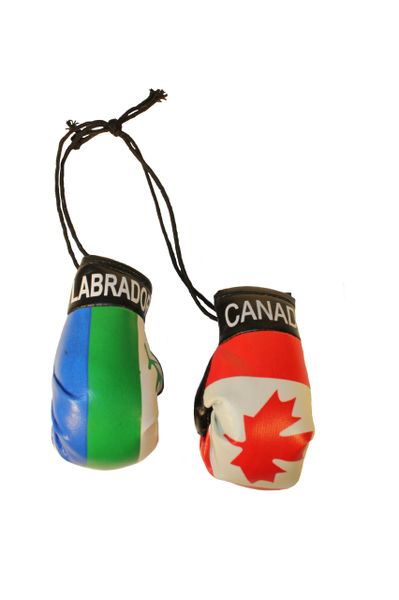 CANADA & LABRADOR CANADA Provincial Flags Mini BOXING GLOVES