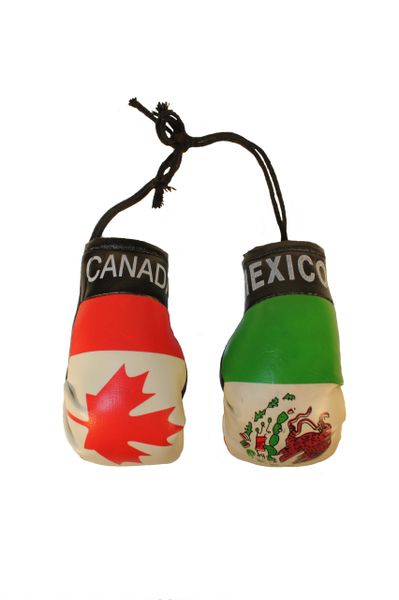 CANADA & MEXICO Country Flags Mini BOXING GLOVES