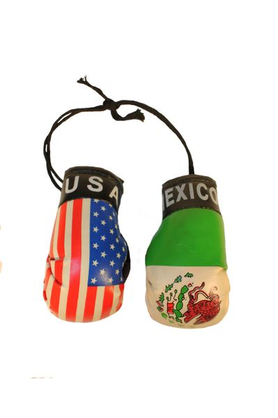 USA & MEXICO Country Flags Mini BOXING GLOVES