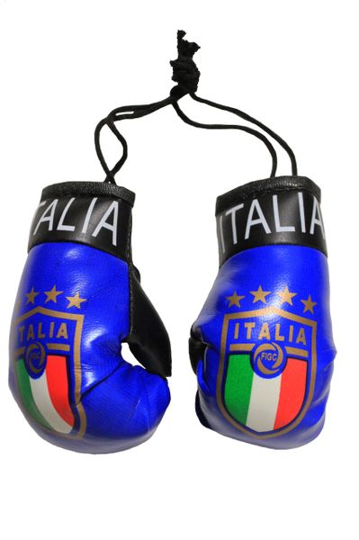 ITALIA ITALY 4 Stars , FIGC Logo Mini BOXING GLOVES