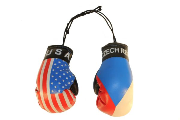 USA & CZECH REPUBLIC Country Flags Mini BOXING GLOVES