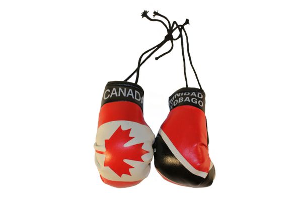 CANADA & TRINIDAD and TOBAGO Country Flags Mini BOXING GLOVES