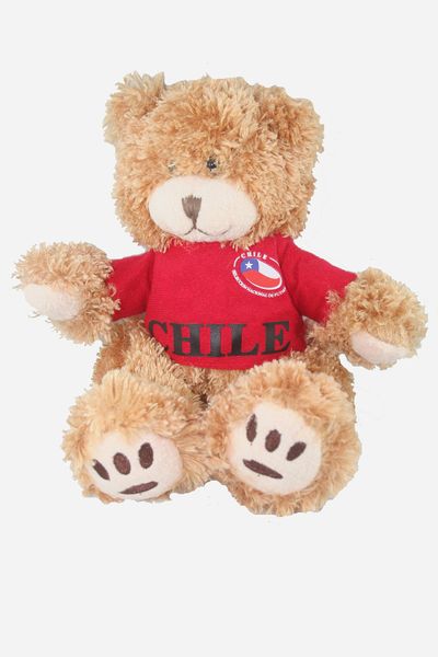 CHILE FIFA SOCCER WORLD CUP SMALL 10" INCHES JERSEY BEAR .. GREAT QUALITY .. NEW AND IN A PACKAGE