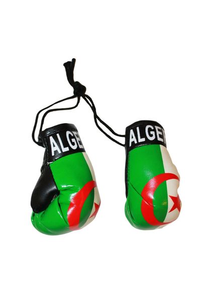 ALGERIA COUNTRY FLAG MINI BOXING GLOVERS .. HIGH QUALITY .. NEW AND IN A PACKAGE