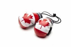CANADA COUNTRY FLAG MINI BOXING GLOVERS .. HIGH QUALITY .. NEW AND IN A PACKAGE