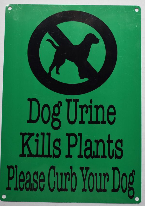 plant clipart png of a dog