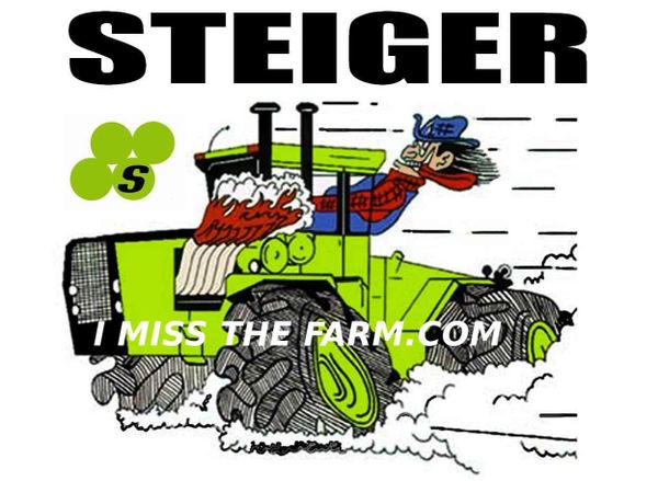 STEIGER "WILD STEIGER" HOODED SWEATSHIRT
