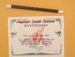 Magicians Assistant Certificate - Set of 12