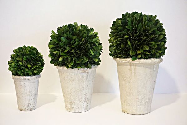 Exterior Rated UV Fade Resistant English Boxwood Topiary
