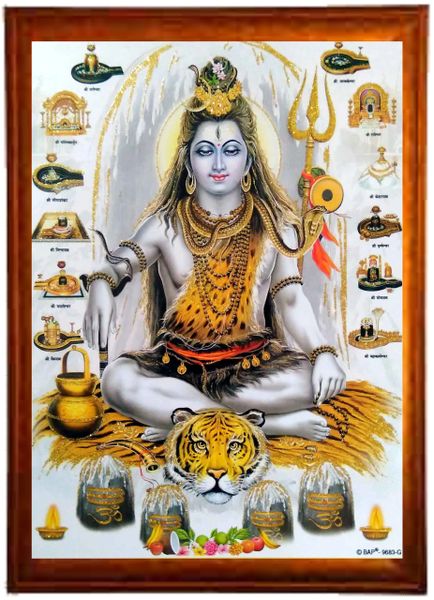 nandinistores Lord Shiv 12 Jyotirling Photo With Brown Frame