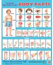Navneet Poster - Body Parts