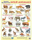 NAVNEET Poster - Wild Animals