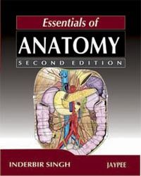 Essentials of Anatomy Author: Inderbir Singh