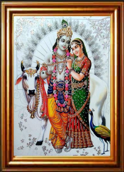 nandinistores Radha Krishna Photo With Cow & Peacock (White & Golden Brown Frame)