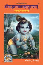 श्रीमद्भागवत-महापुराणम् (Shrimadbhagvat Mahapuranam)-gita press