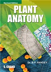 Plant Anatomy, B P Pandey-S.CHAND