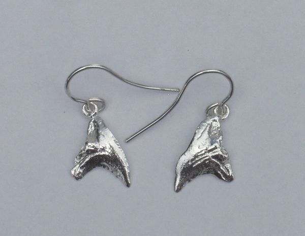 Sterling Silver Shark Tooth Dangle Earrings | Ben Salomonsky Jeweler ...