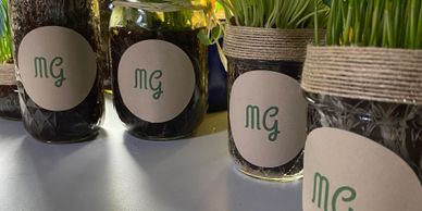 Gro green jars from left to right:  Amaranth (red), sunflower, radish, wheatgrass