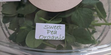 You can purchase small packages of microgreens