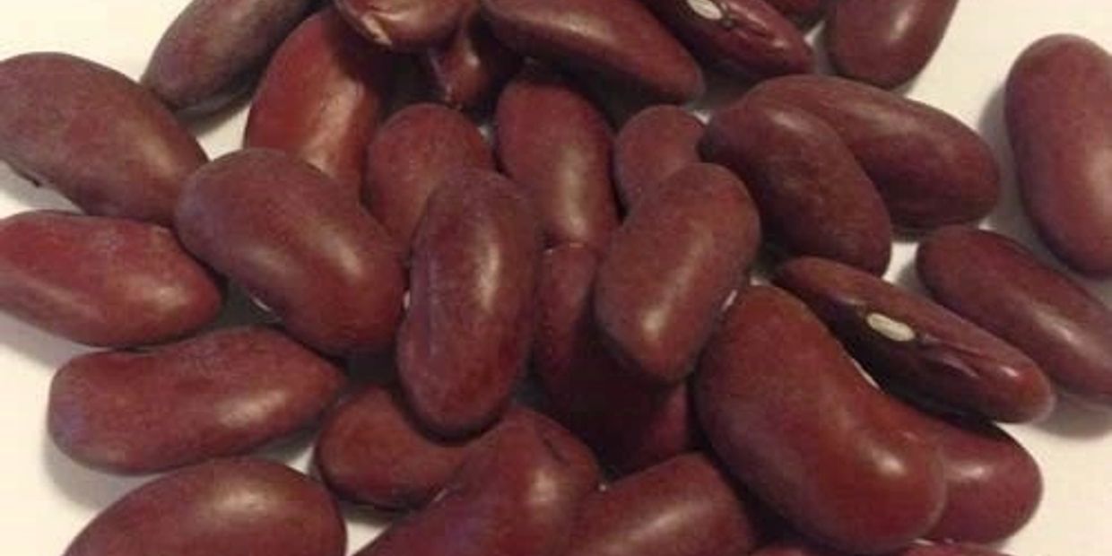 Kidney Beans