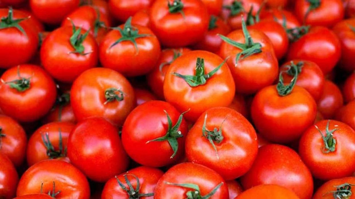 Picture of tomatoes