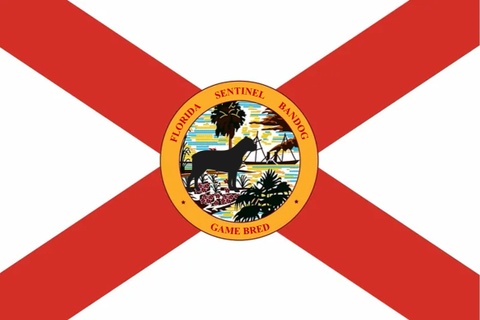 Florida Sentinel Bandog