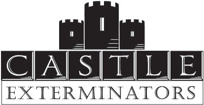 Mosquito | Castle Exterminators