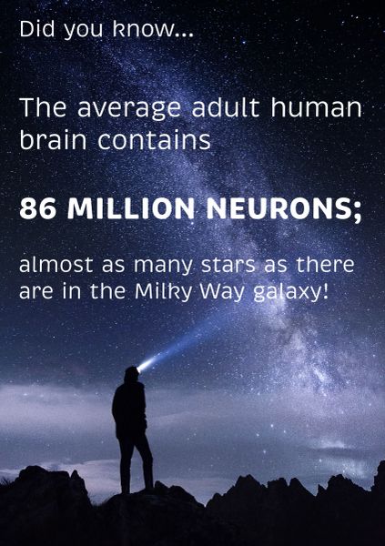 86 Million Neurons Poster (18" x 24")
