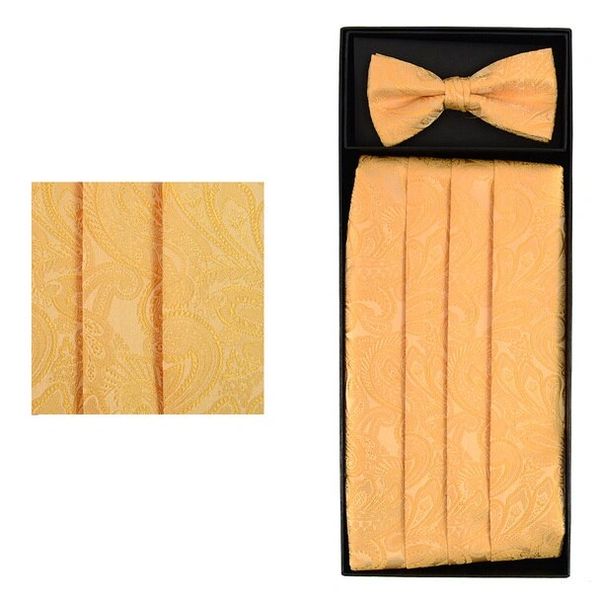 Paisley Design Cummerbund Tie Set Deares Lace