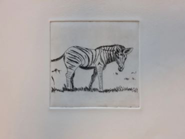 Zebra Acrylic Etching Print (105mm x 148mm )