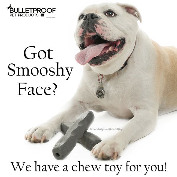 Bulletproof dog toys best sale