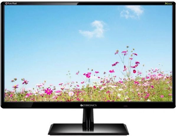 Zebronics 18.5 inch Full HD LED Monitor