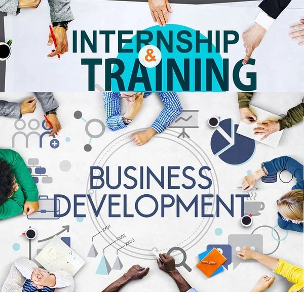 Business Development Internship Training Program