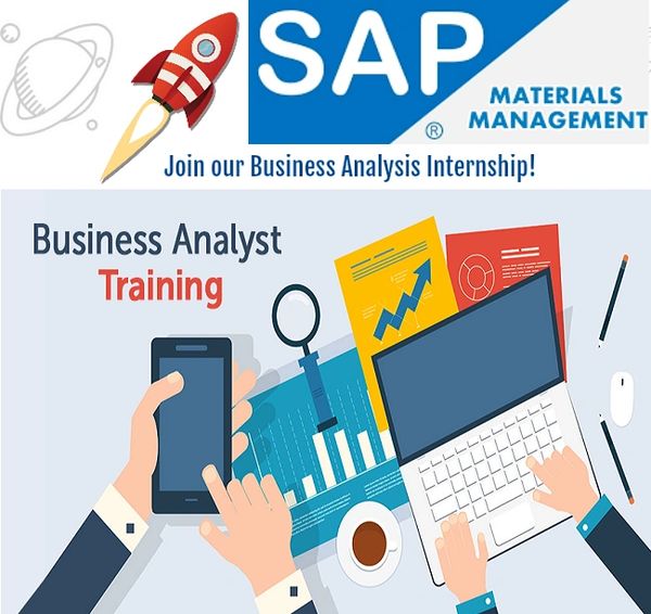 SAP MM Business Analyst Internship Training Program