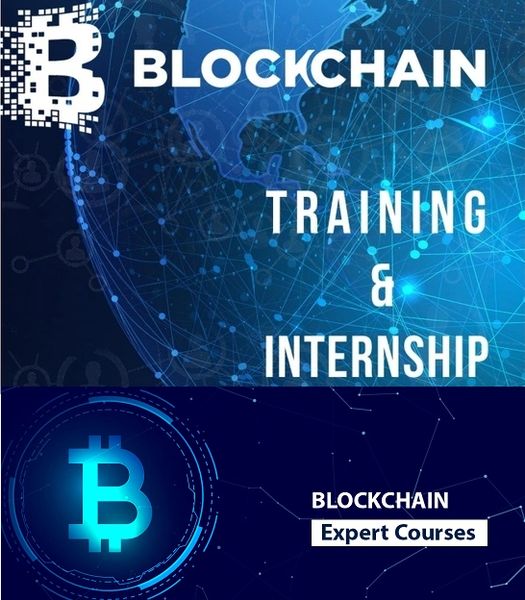 Blockchain Developer Internship Training Program