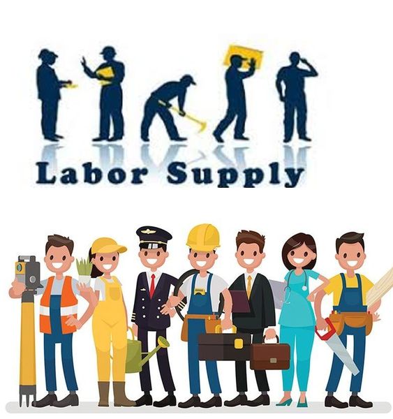 Labour Supply Service and Manpower Supply Service (Berhampur)