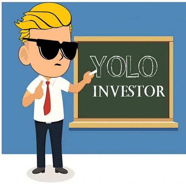 YOLO Investor The Small Investment Service
