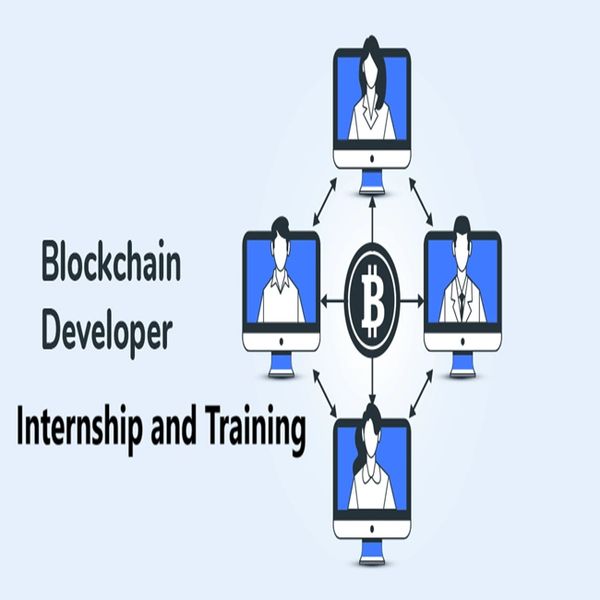 Blockchain Developer Internship Training Program