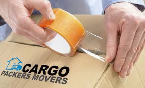 Movers Packer Service