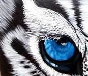 Eye of The Tiger