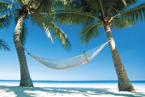 Tropical Breeze