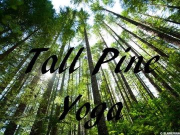 Tall Pine Yoga