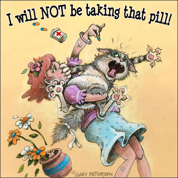 I will Not be taking that pill! Cat Magnet