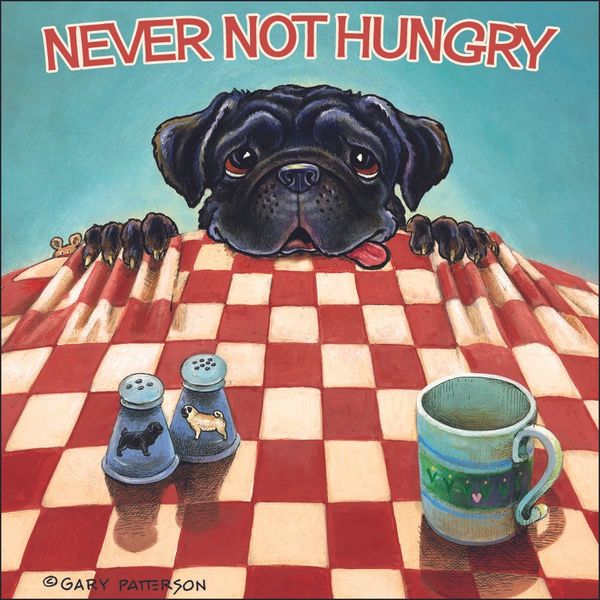 Never Not Hungry Pug Dog Magnet