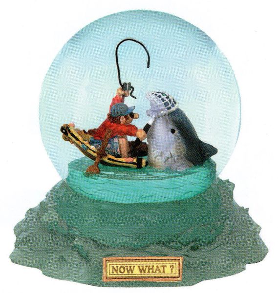 Now What? Fishing Glitter Globe